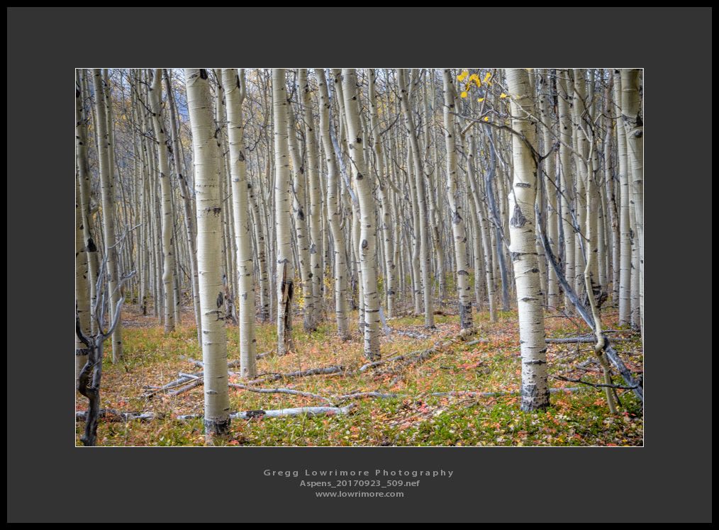 Aspens 20170923 509